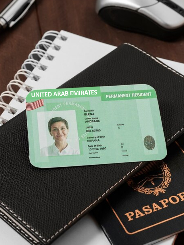 5 Key Pointers on How to Apply for a Residence License in the UAE - insura.ae